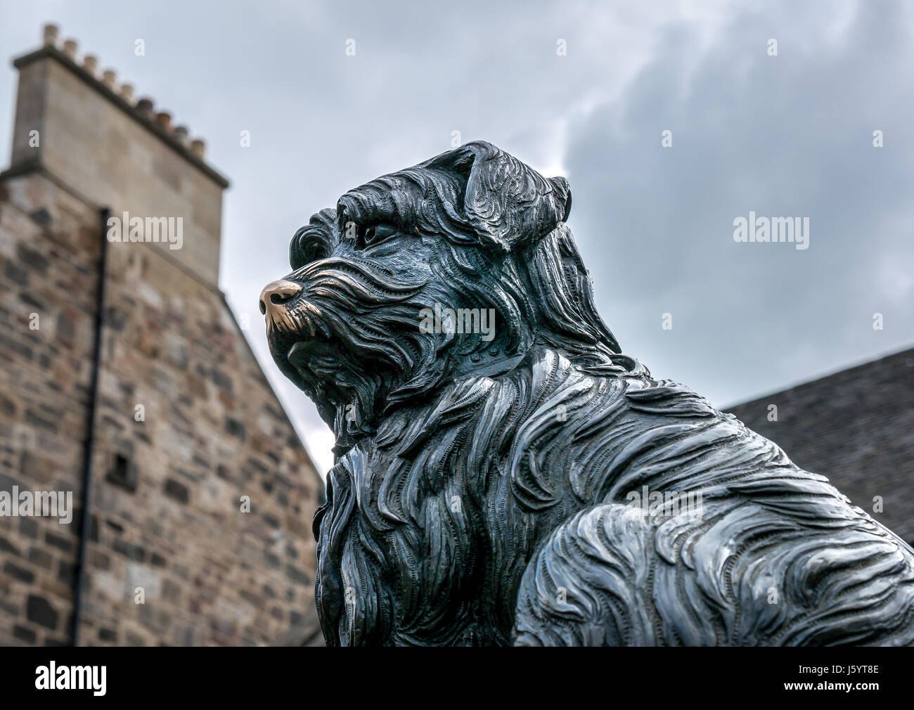 Close up di cane Grayfriar Bobby della statua in bronzo di William Brodie e antico casamento, Edimburgo, Scozia, con buona fortuna strofinata naso lucido Foto Stock