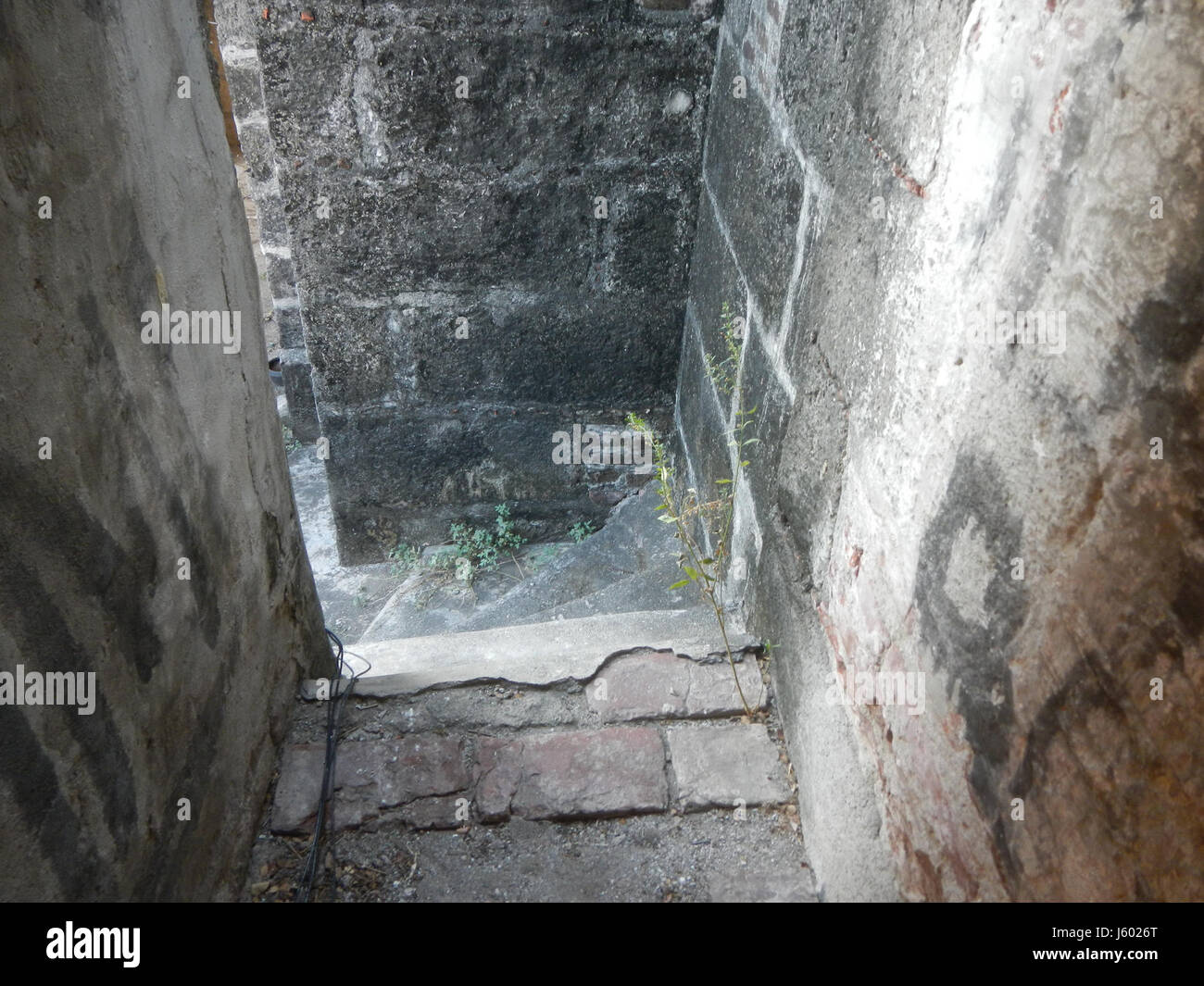 02704 Torri campane di San Luigi Gonzaga Chiesa San Luis, Pampanga 34 Foto Stock