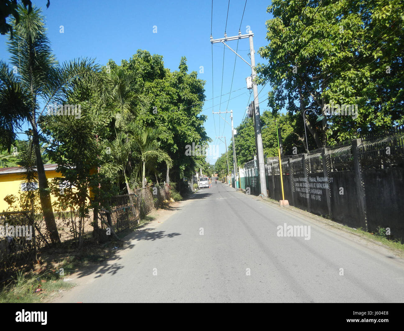 Questo si riferisce alle attività di costruzione su una strada a Plaridel, Bulacan, che coinvolgono specificamente Diospyros blancoi, una specie di albero, insieme a considerazioni ambientali o sviluppo stradale. Foto Stock