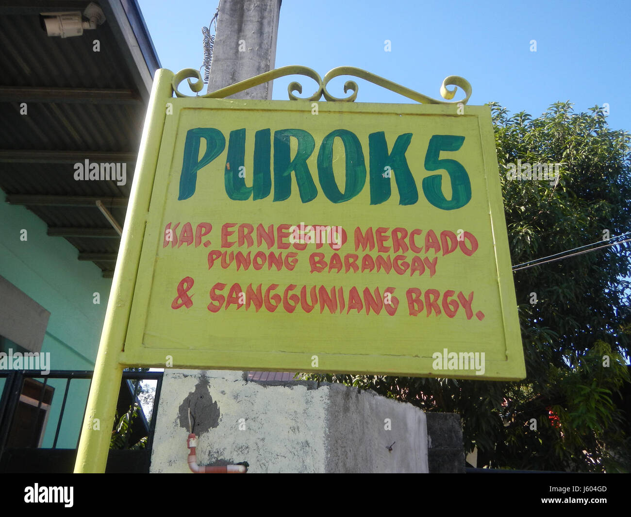 04544 Diospyros blancoi Dampol Rueda Plaridel Pungo Calumpit Bulacan 11 Foto Stock