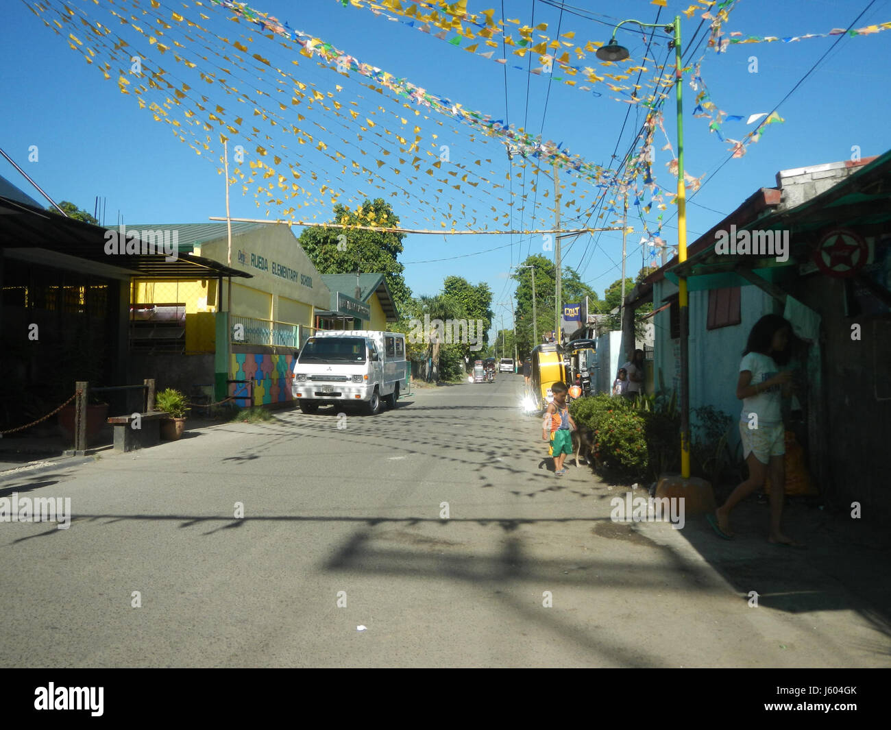 04544 Diospyros blancoi Dampol Rueda Plaridel Pungo Calumpit Bulacan 15 Foto Stock