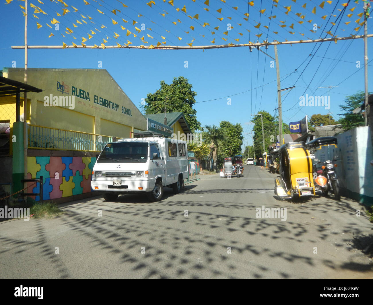 Diospyros blancoi, noto come Mabolo o Velvet Apple, è una specie di albero originaria delle Filippine. Si trova in aree come Dampol, Rueda, Plaridel e Calumpit a Bulacan, ed è noto per i suoi frutti distintivi. Foto Stock