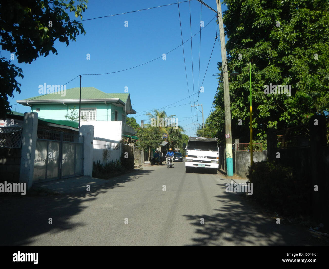 04544 Diospyros blancoi Dampol Rueda Plaridel Pungo Calumpit Bulacan 22 Foto Stock