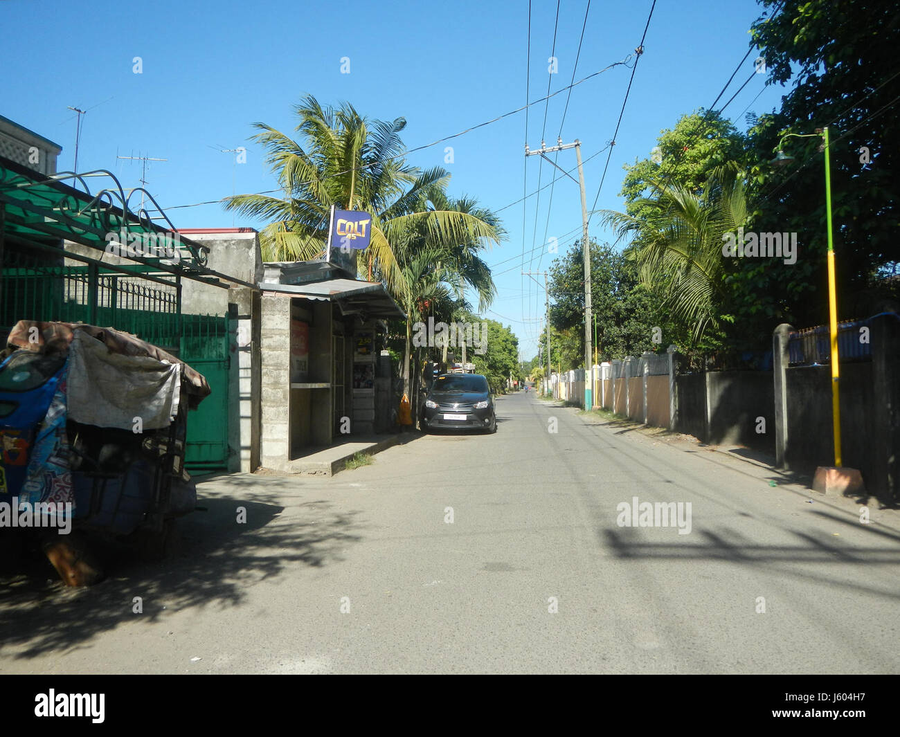 04544 Diospyros blancoi Dampol Rueda Plaridel Pungo Calumpit Bulacan 23 Foto Stock