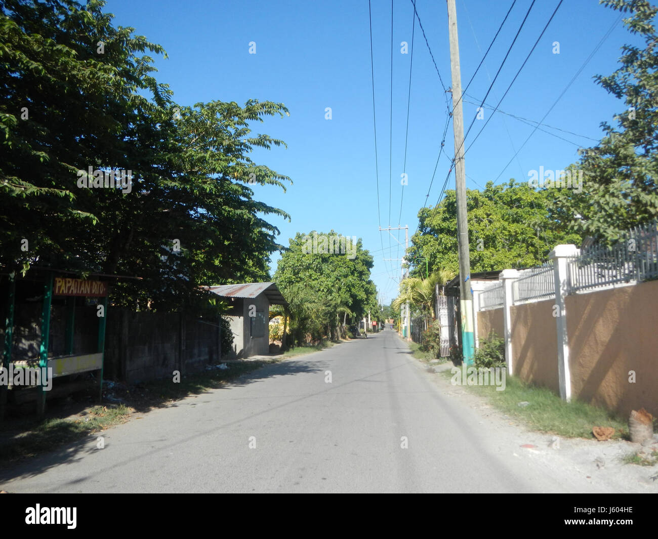 Questa voce si riferisce a *Diospyros blancoi*, una specie di cachi originaria delle Filippine, che si trova in zone come Dampol, Rueda, Plaridel, Pungo e Calumpit, Bulacan. Il frutto è importante per l'agricoltura locale. Foto Stock