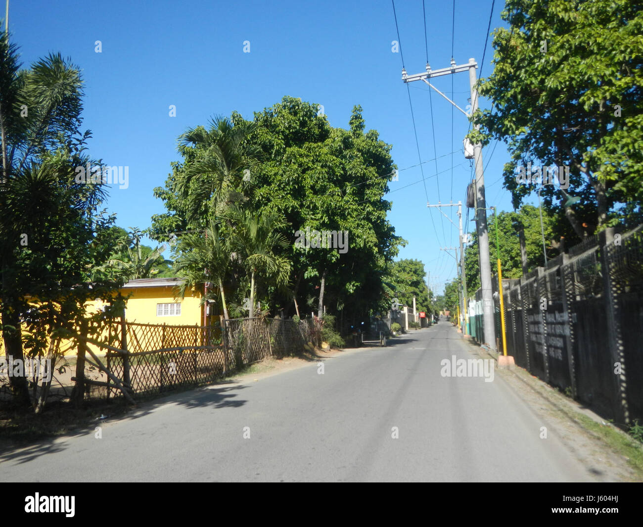 04544 Diospyros blancoi Dampol Rueda Plaridel Pungo Calumpit Bulacan 30 Foto Stock