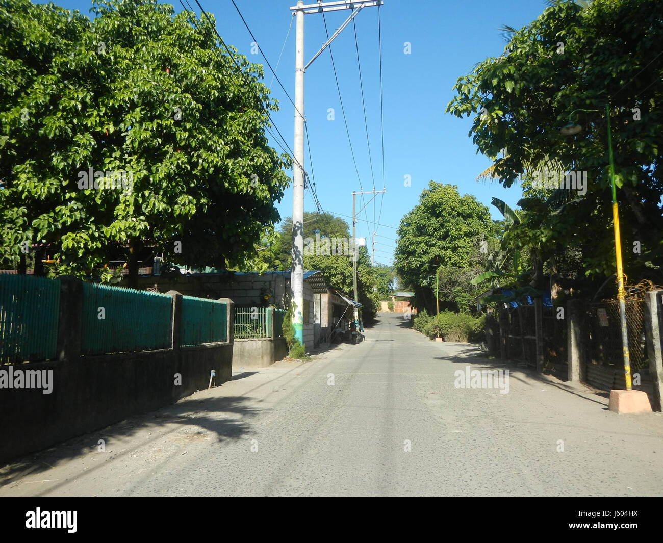 04544 Diospyros blancoi Dampol Rueda Plaridel Pungo Calumpit Bulacan 36 Foto Stock