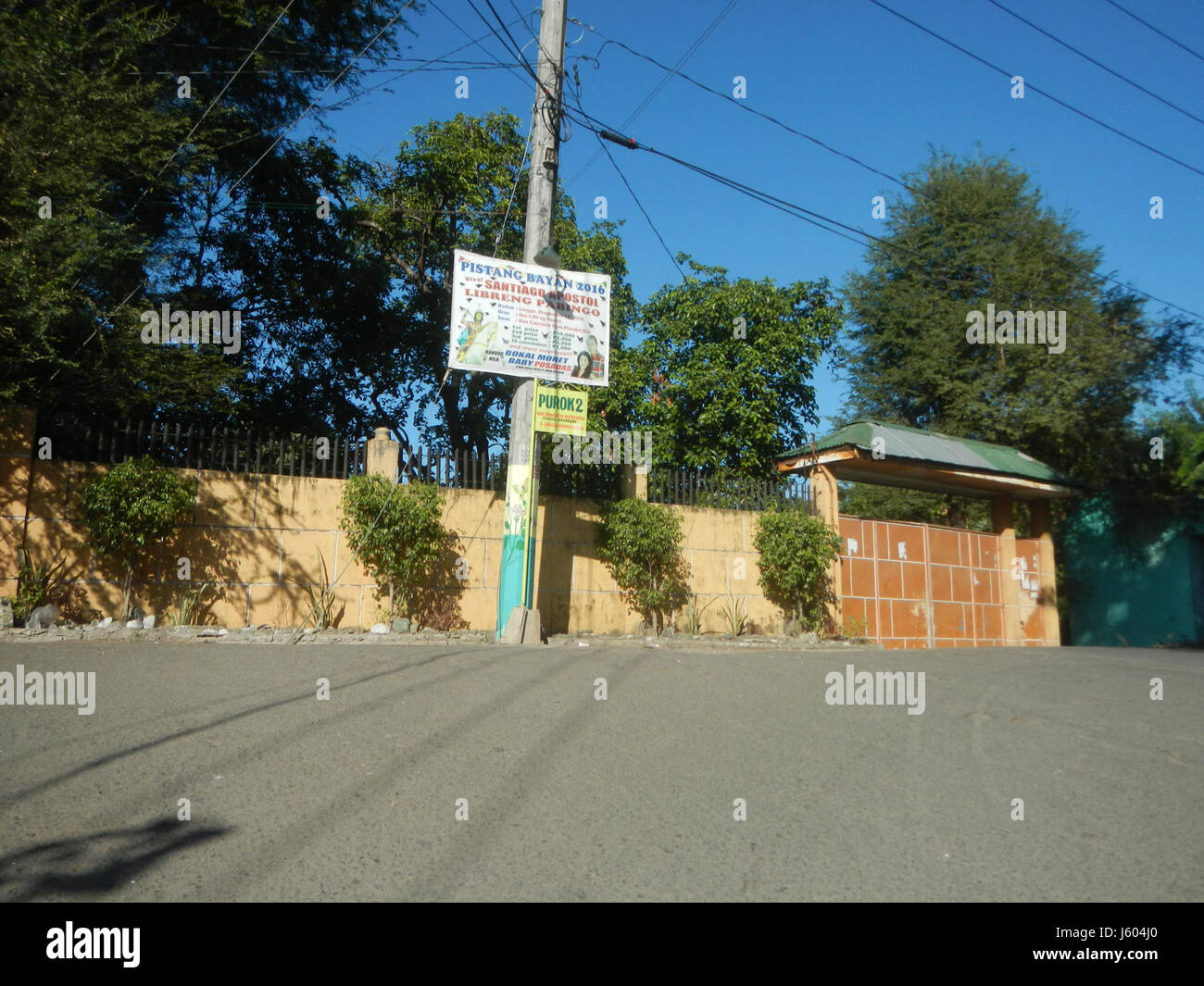 04544 Diospyros blancoi Dampol Rueda Plaridel Pungo Calumpit Bulacan 39 Foto Stock