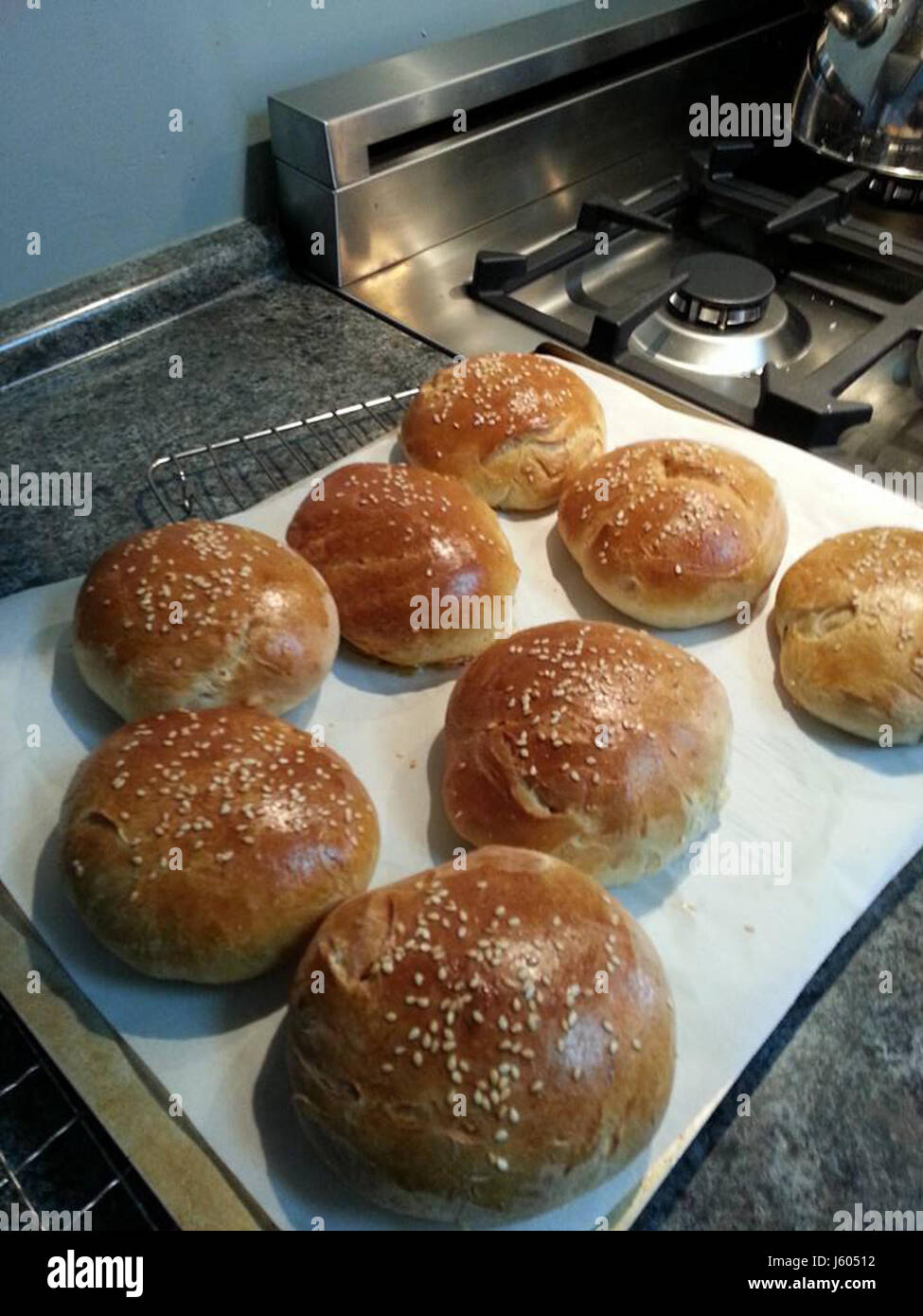 L'immagine intitolata "-365 Fresh OutOfTheOven" suggerisce un articolo fresco, creato di recente, potenzialmente nel contesto di cibo o altri prodotti freschi. Il titolo si riferisce a qualcosa di recente realizzato e pronto per l'uso. Foto Stock