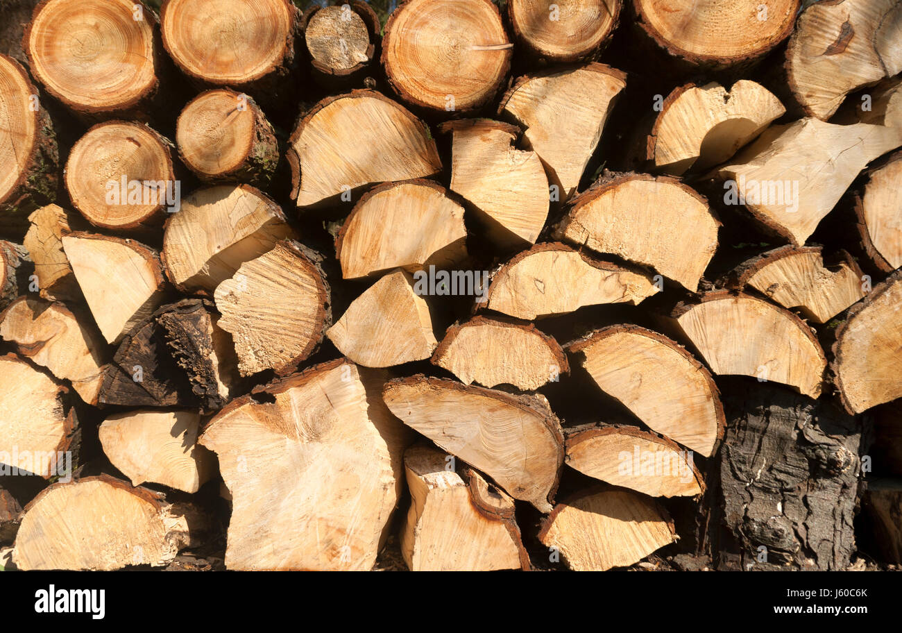 Pila di log. Un mucchio di recente a tagliare rotoli pronti per il fuoco Foto Stock