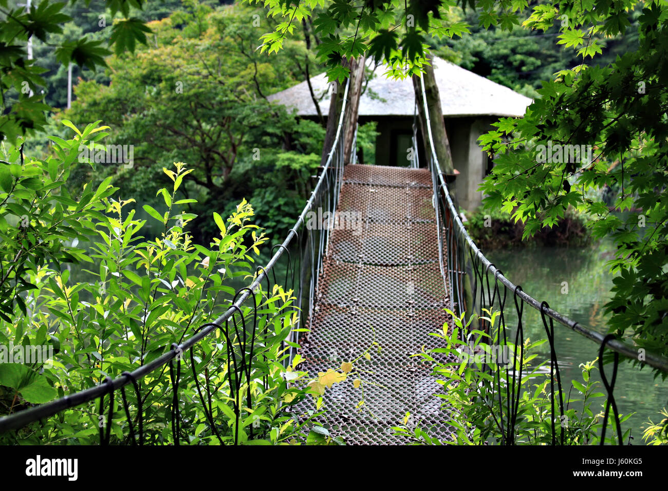 Asia sospensione ponte ponte corea del cottage forest asia sospensione ponte Foto Stock