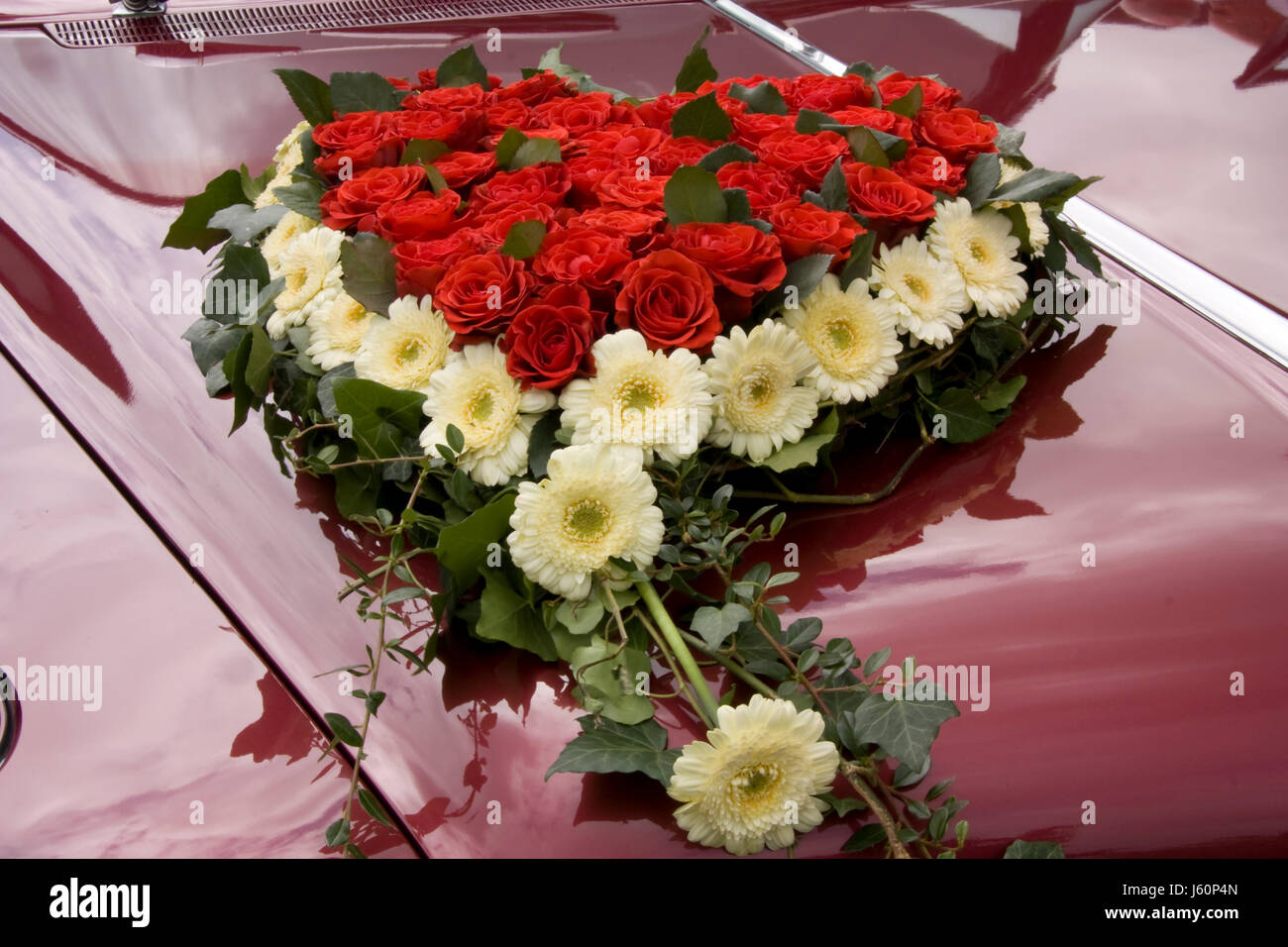 Fiorello rosario immagini e fotografie stock ad alta risoluzione - Alamy