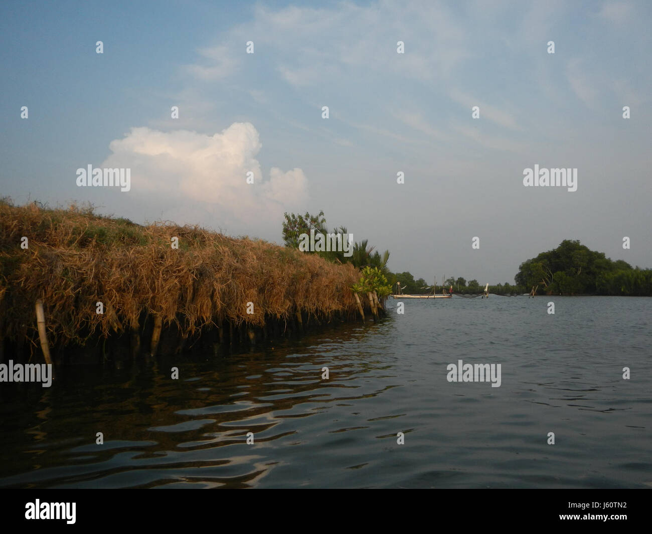 Questa immagine mostra le rive del fiume Panasahan nella città di Malolos, Bulacan. Il sito è caratterizzato da attività di gestione delle vie navigabili, controllo delle inondazioni e salvaguardia ambientale. Foto Stock
