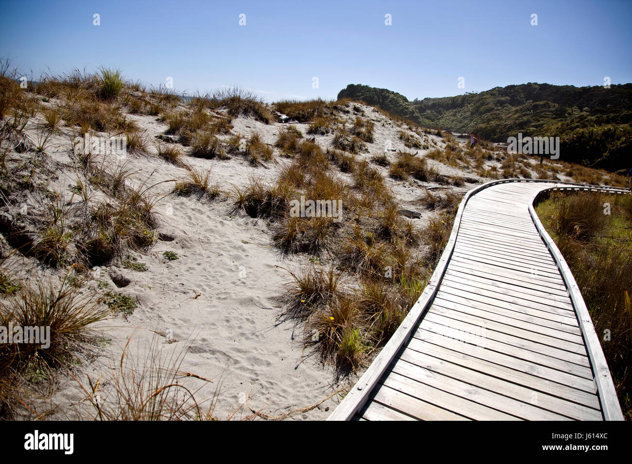 Passerella in legno Nuova Zelanda Isola del Sud Costa Ovest Foto Stock