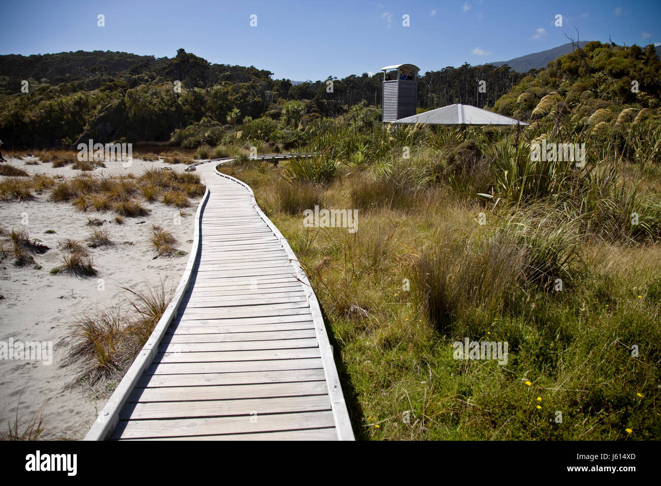 Passerella in legno Nuova Zelanda Isola del Sud Costa Ovest Foto Stock