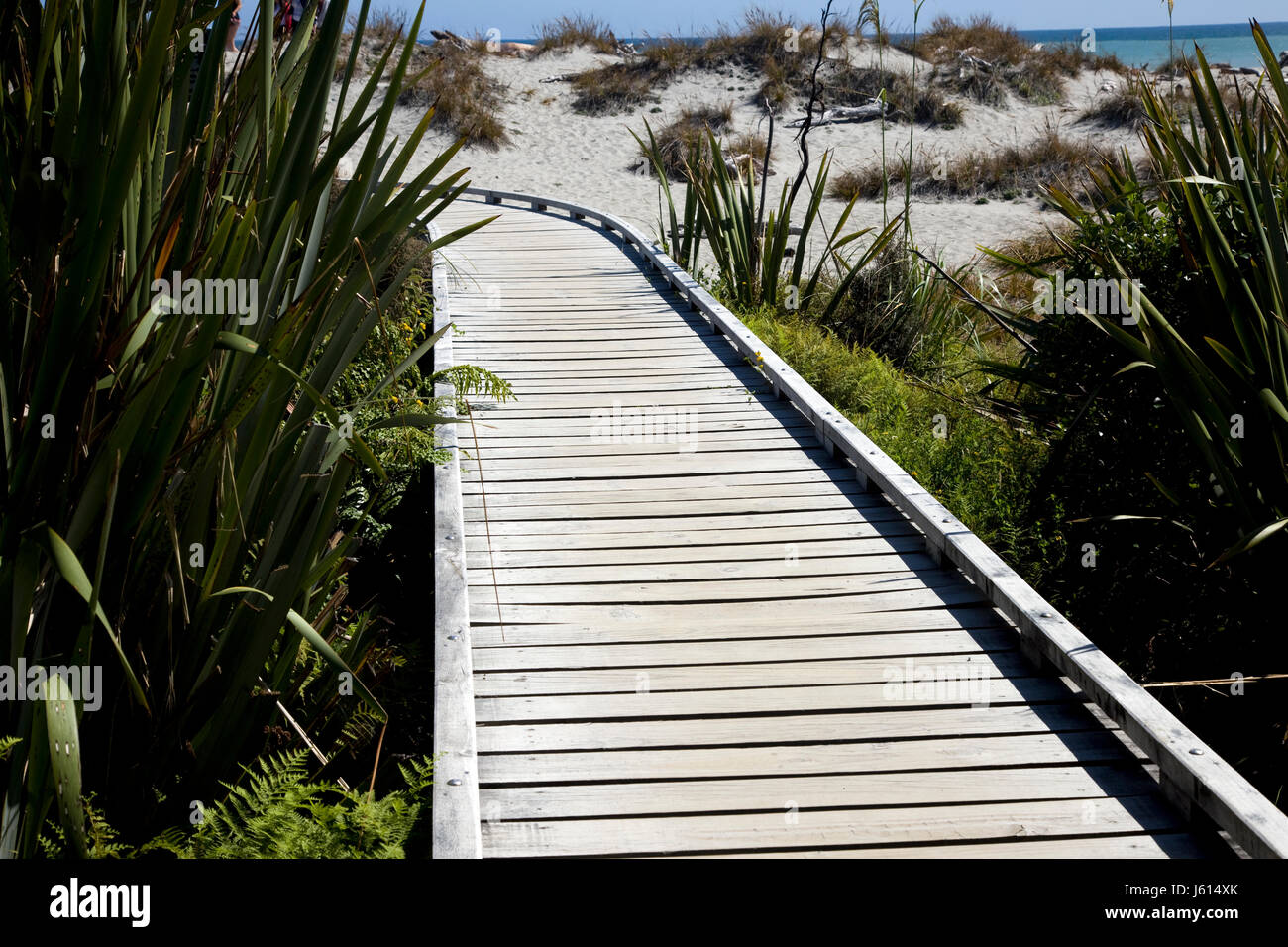 Passerella in legno Nuova Zelanda Isola del Sud Costa Ovest Foto Stock