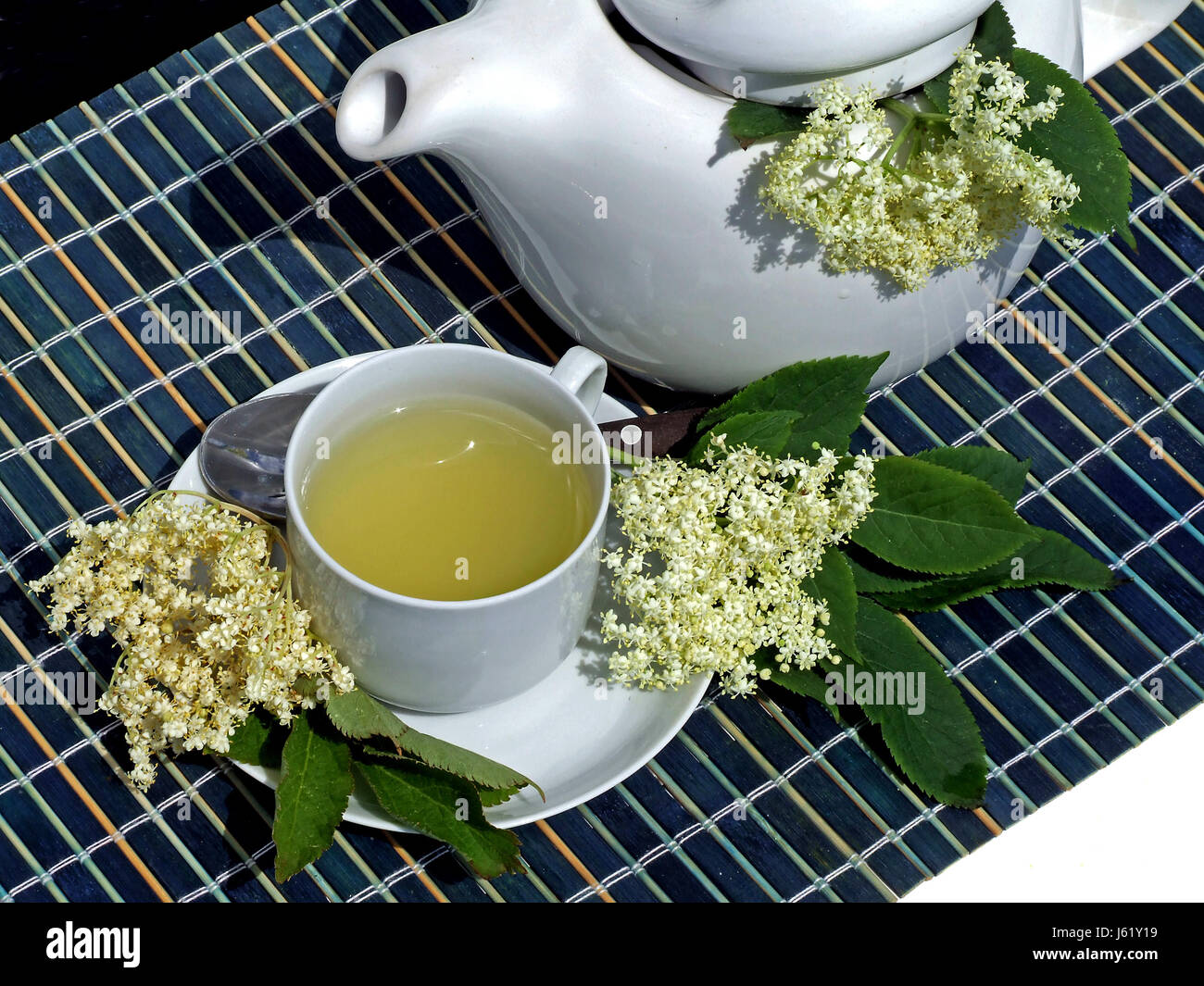 Teiera the Elder tazza di tè tè bere Vitamine Vitamine teiera pianta medicinale Foto Stock