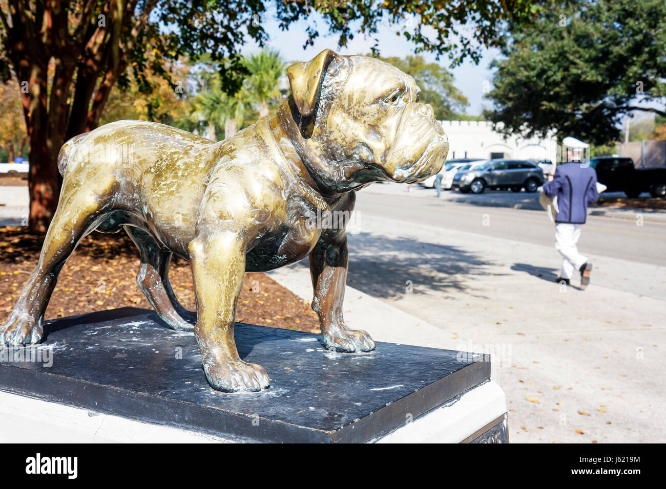 Charleston South Carolina, la Cittadella, il Collegio militare di, South Carolina, militare, istruzione, formazione, cadetto, disciplina, Bulldog Mascot, statua, bronzo Foto Stock