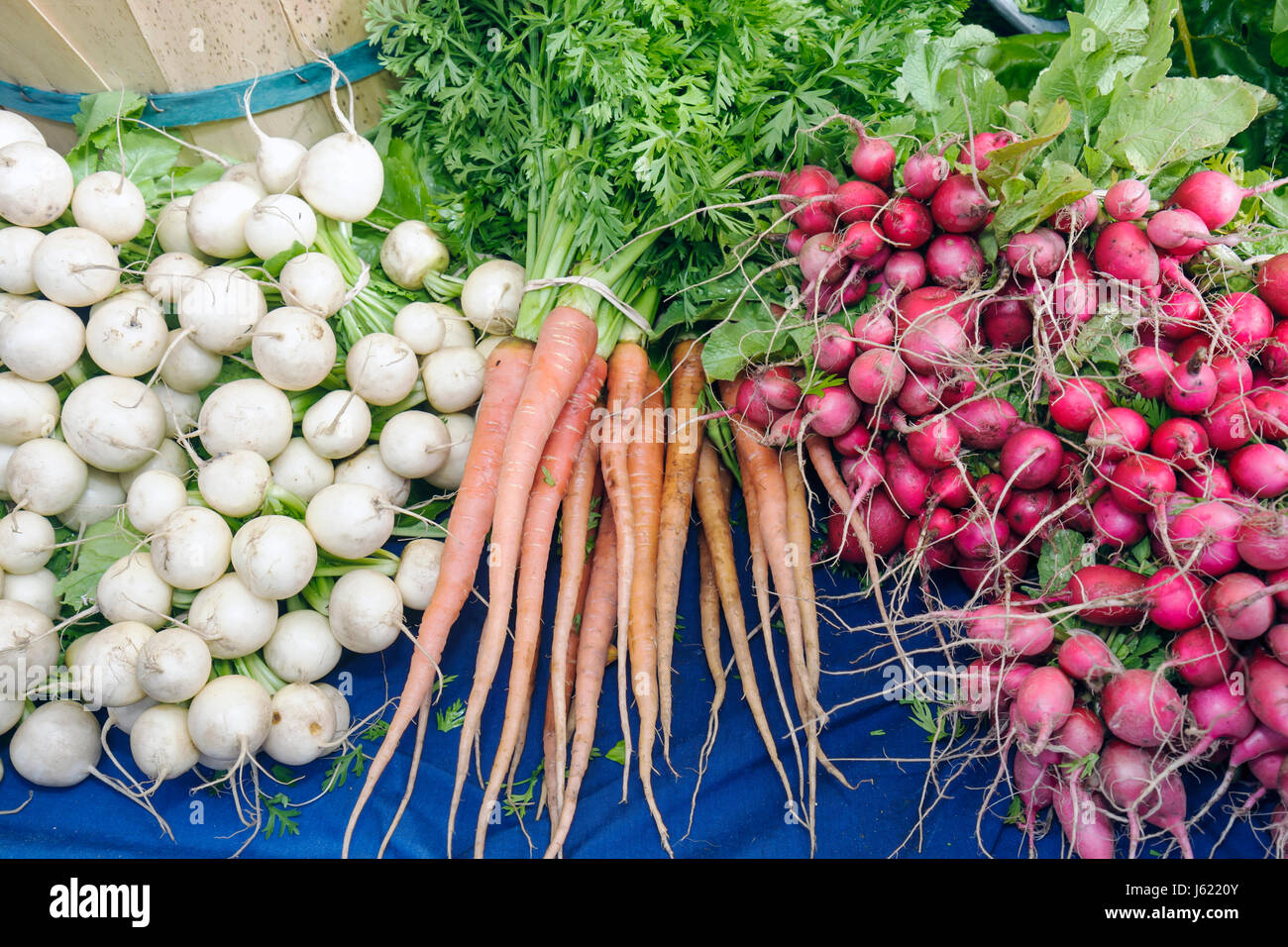 Charleston South Carolina, Marion Square, mercato agricolo, attività comune, prodotti freschi, prodotti locali, artigianato, ravanello, carota, verdure di radice, bu Foto Stock