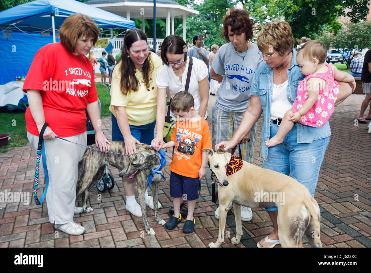 Indiana Chesterton,Thomas Centennial Park,Bark in the Park,cani da cane,adozione dei levrieri,animali da compagnia,animale,guinzaglio,adulti donna donna donna donna donna donna donna donna donna donna donna donna, ragazzo Foto Stock