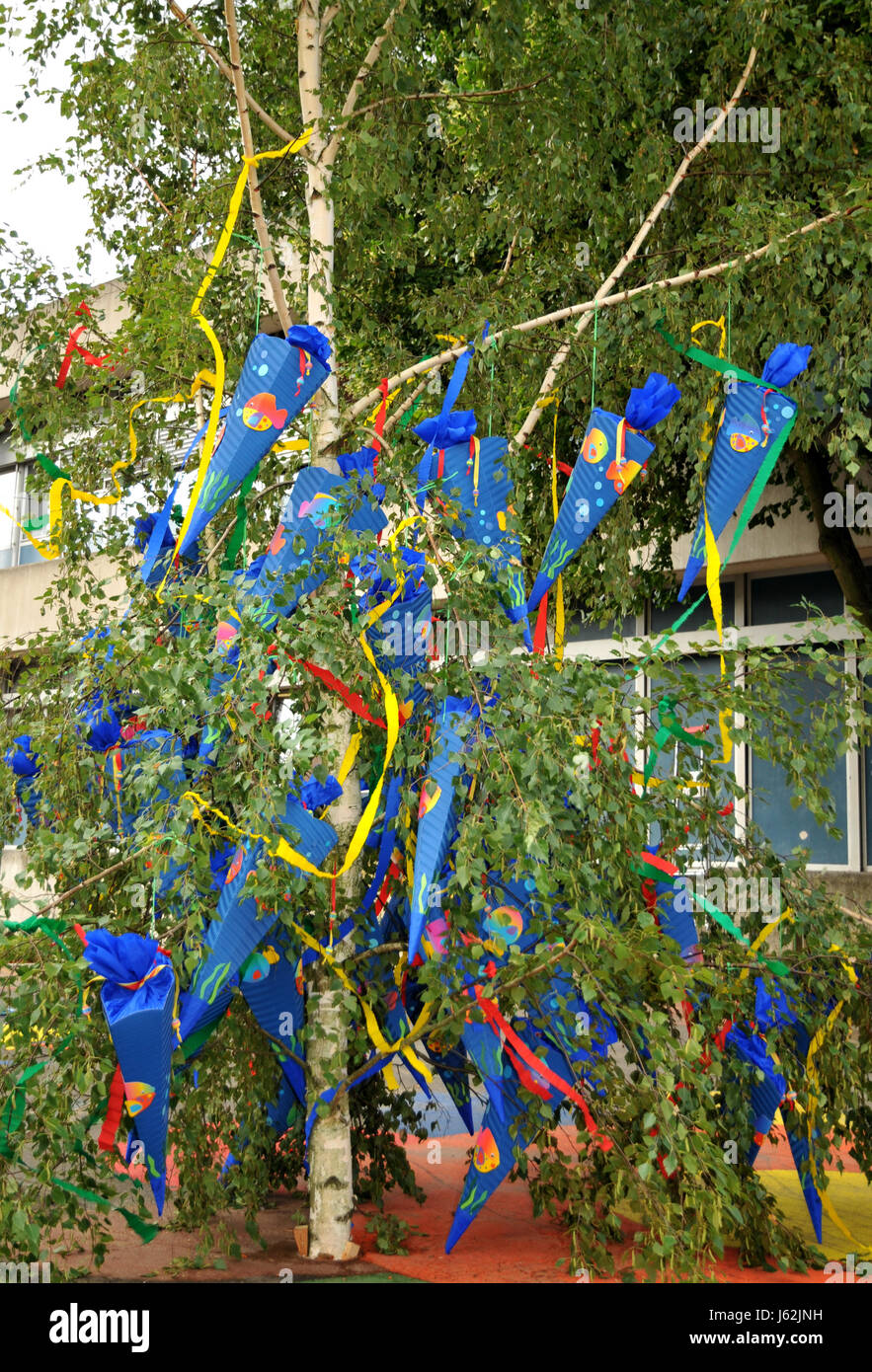 Scuola di iscrizione istituto scolastico istituto scolastico istituzione Foto Stock