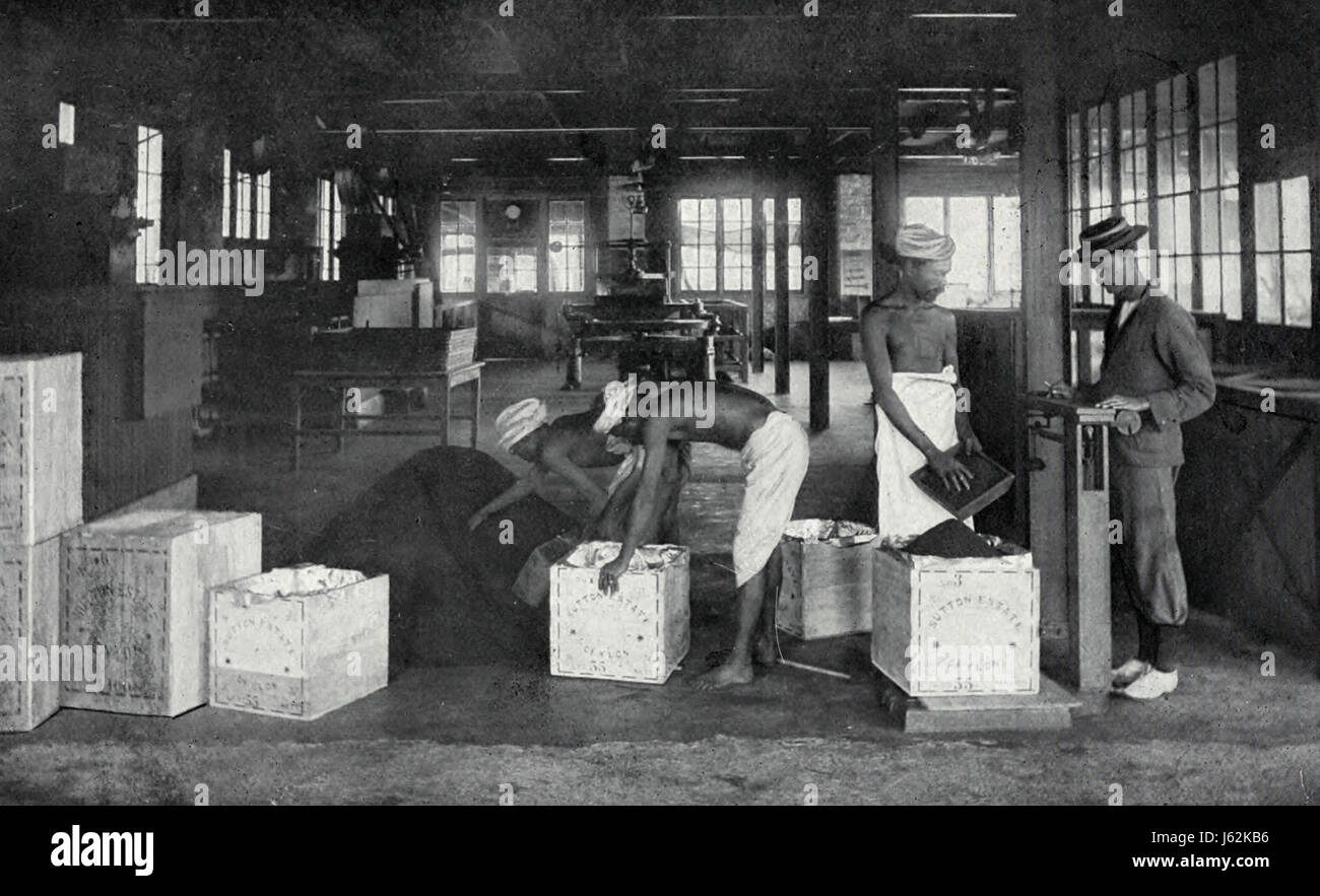 Cassettiere per riempimento di tè per la spedizione, Ceylon, circa 1900 Foto Stock