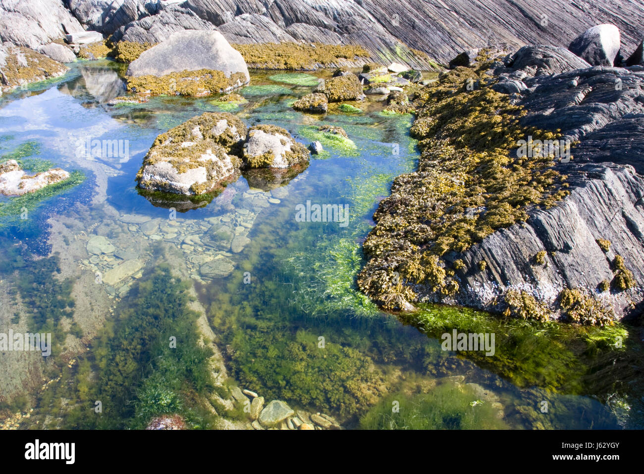 Costa di roccia struttura forma acqua salata oceano mare acqua sfondo sullo sfondo Foto Stock