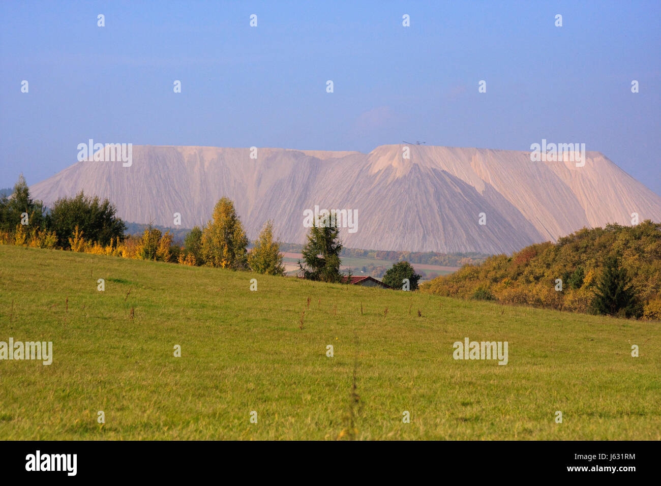Sale prato campo di foreste di montagna di letame concime cibo aliment sale Foto Stock