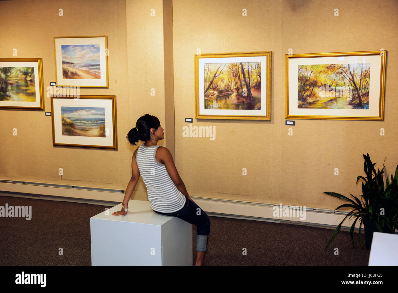 Indiana Chesterton, Chesterton Art Center, centro, arte visiva, artisti locali, dipinti incorniciati, tappeto, paesaggio, mostra collezione, galleria Foto Stock