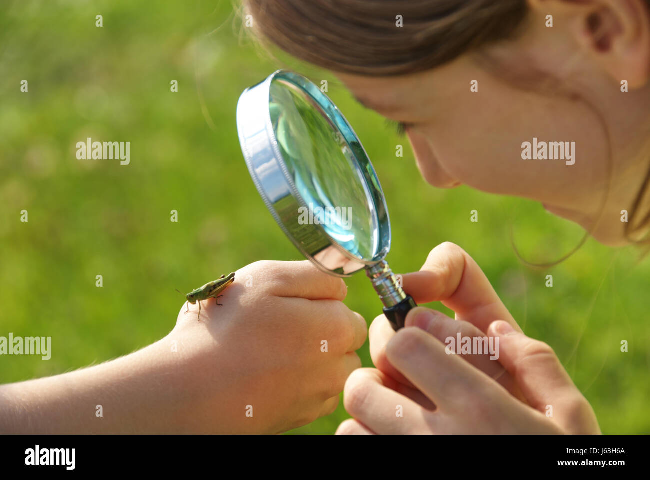 Interessanti animali Foto Stock