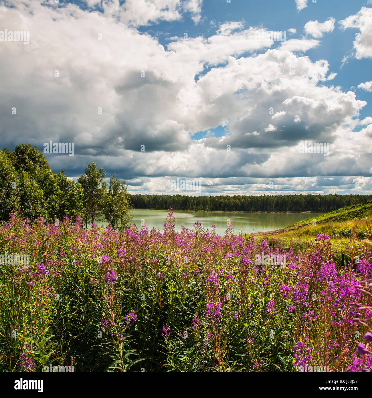 Estate giorno nuvoloso sulla riva della cava. Foto Stock