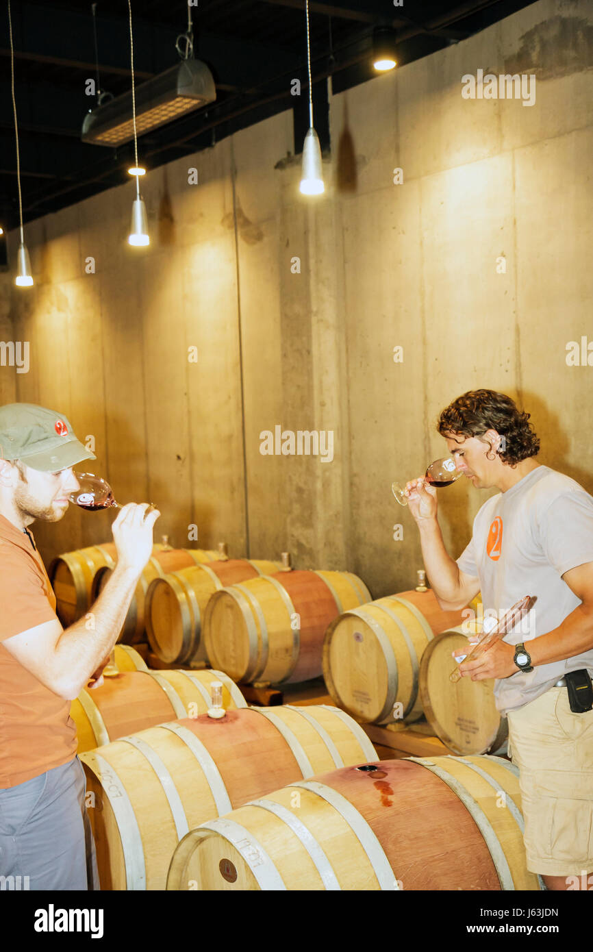 Michigan Traverse City,Old Mission Peninsula,Two Lads,cantina dei vigneti,cantina dei vini,botte di quercia Appalachiana,vino,enologia,olfatto,enologo,uomo maschio,tes Foto Stock