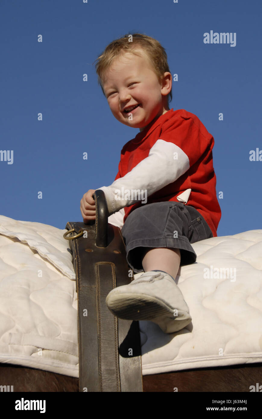 Cavallo piccolo piccolo breve stallone di equitazione lad ragazzo giovane maschio bambino Foto Stock