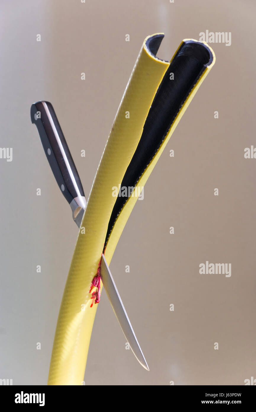 Emblema di scollegamento del dolore metafora dissecare il divorzio sensazione emblema invidia di perdita Foto Stock