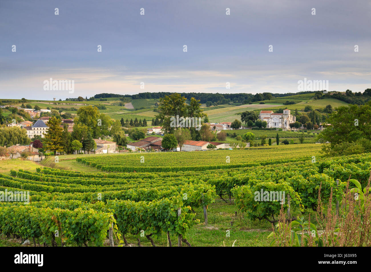 In Francia, in Charente (16), Bouteville, vignoble de Cognac, Maisons du village et église Saint-Paul // Francia, Charente, Bouteville, Cognac vigna e th Foto Stock