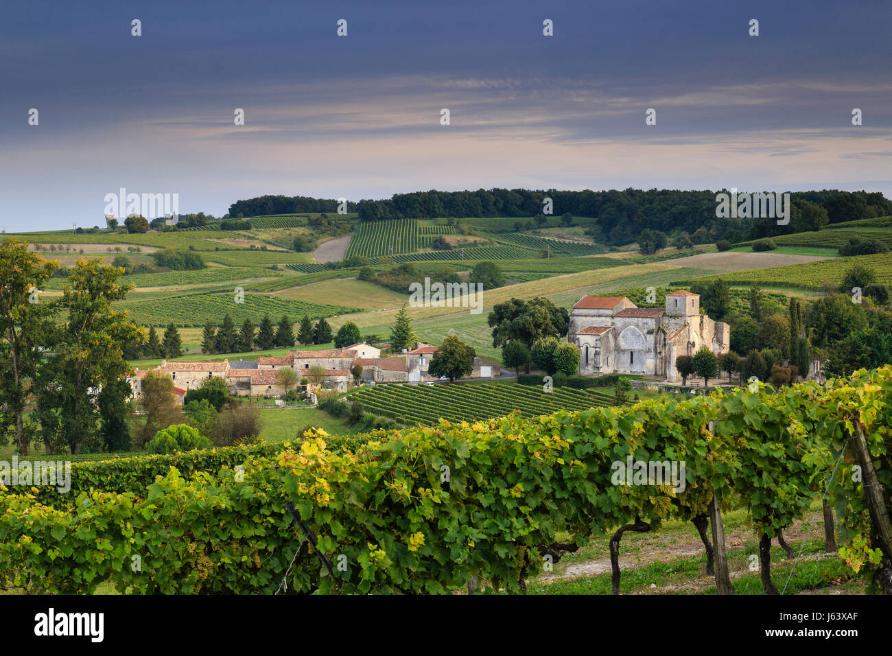 Francia, Charente, Bouteville, Cognac vigneto e il villaggio con la chiesa di Saint Paul Foto Stock