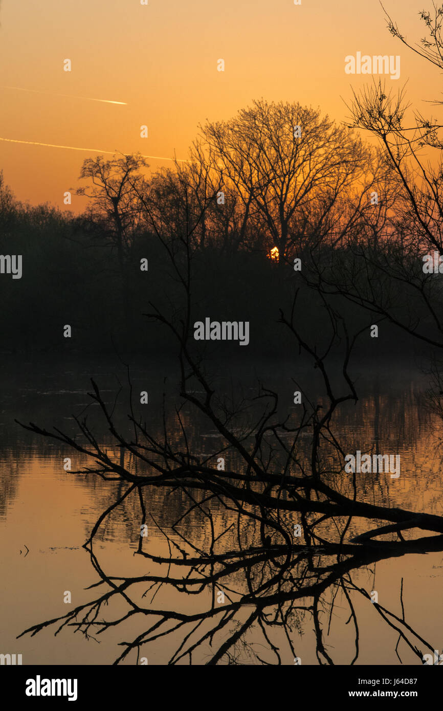 Tramonto su una ghiaia dismesse pit in Attenborough Riserva Naturale, Nottinghamshire Foto Stock