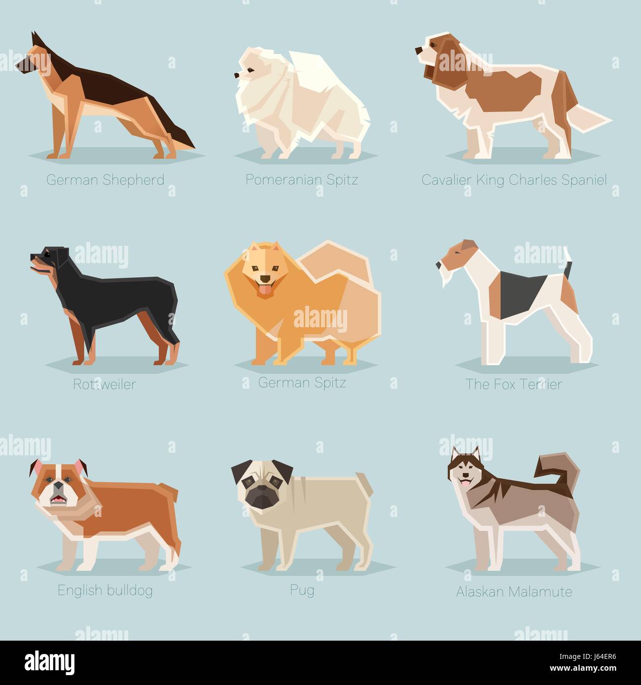 Cane piatto set di icone Illustrazione Vettoriale