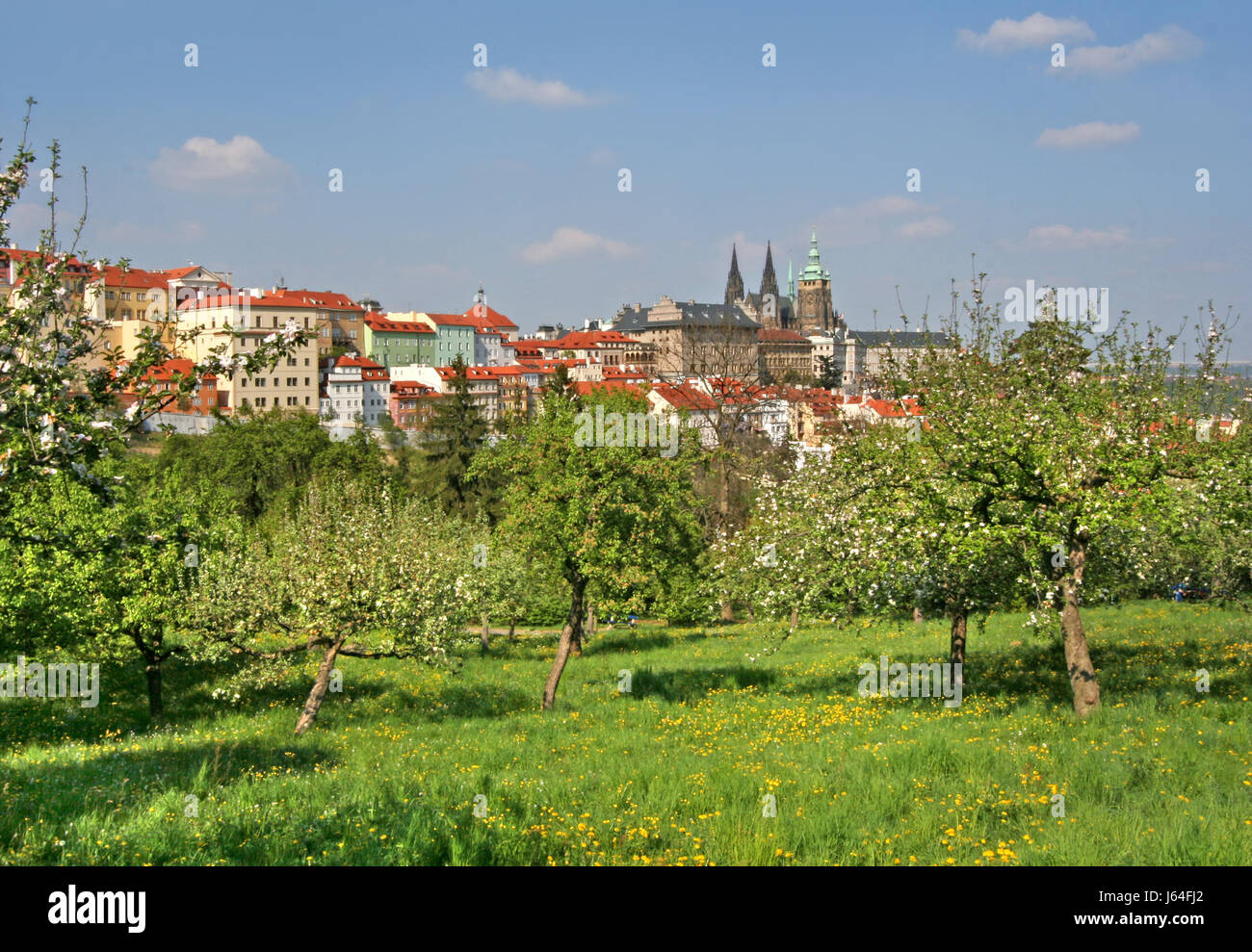 Molla di parco di Praga Cechia prato giardino del parco della città vecchia di Praga a molla square Foto Stock