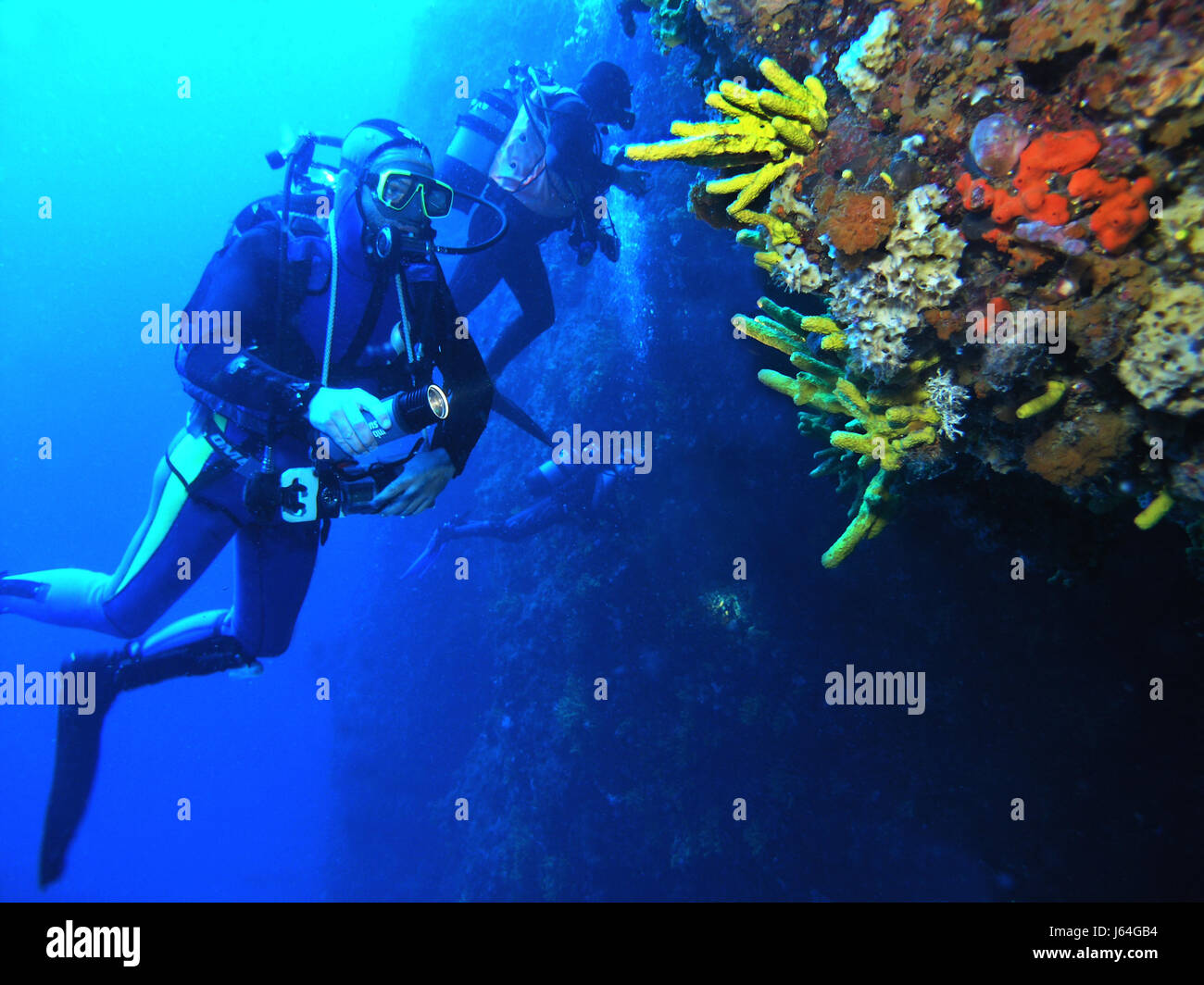Colorato colorato splendida molteplici riccamente colorata subacqueo Dive acqua blu Foto Stock