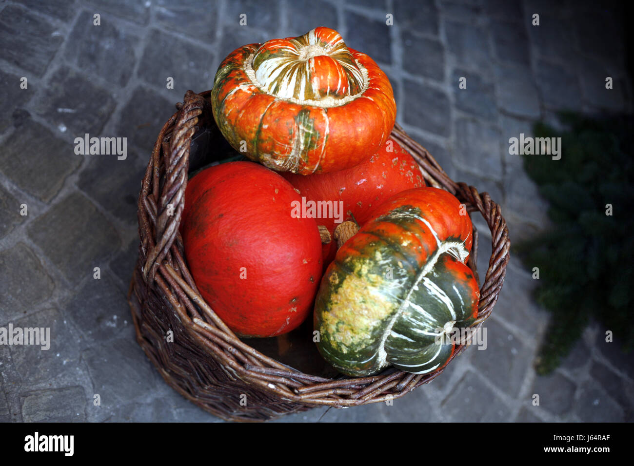 Colorato colorato splendida molteplici riccamente cestino colorato cucurbitacee Foto Stock