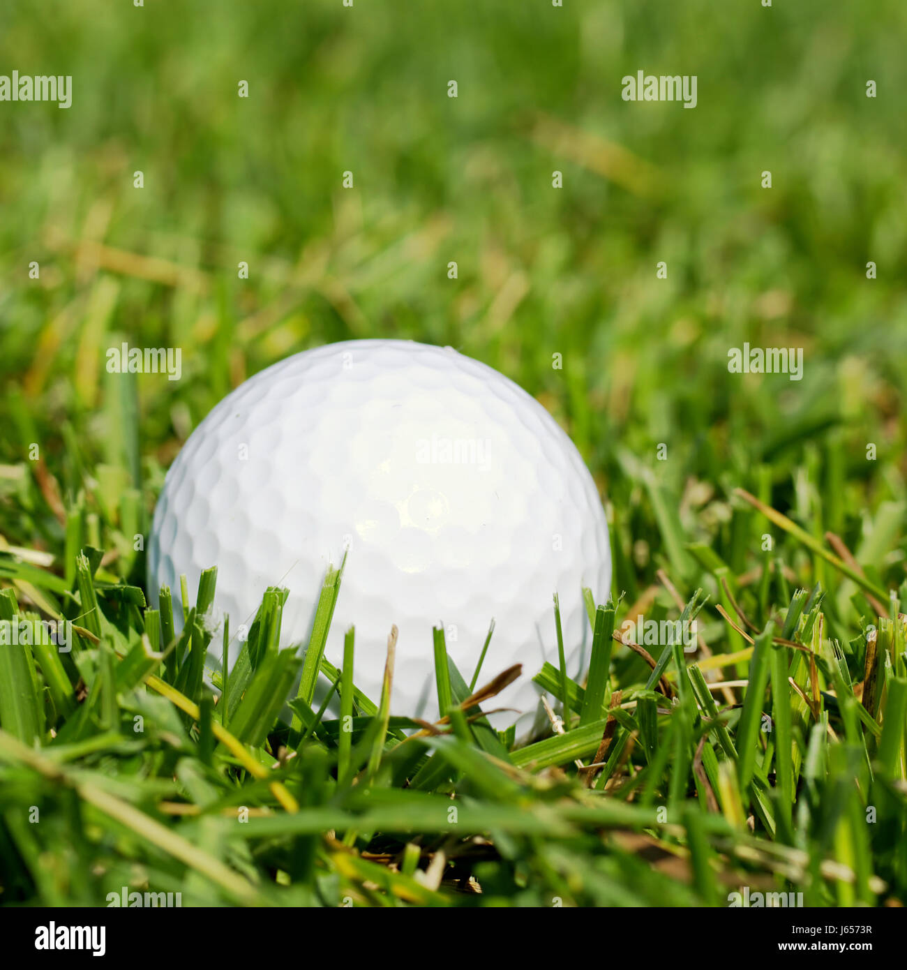 Sport golf a sfera erba di prato verde erba sport al di fuori a sfera Foto Stock