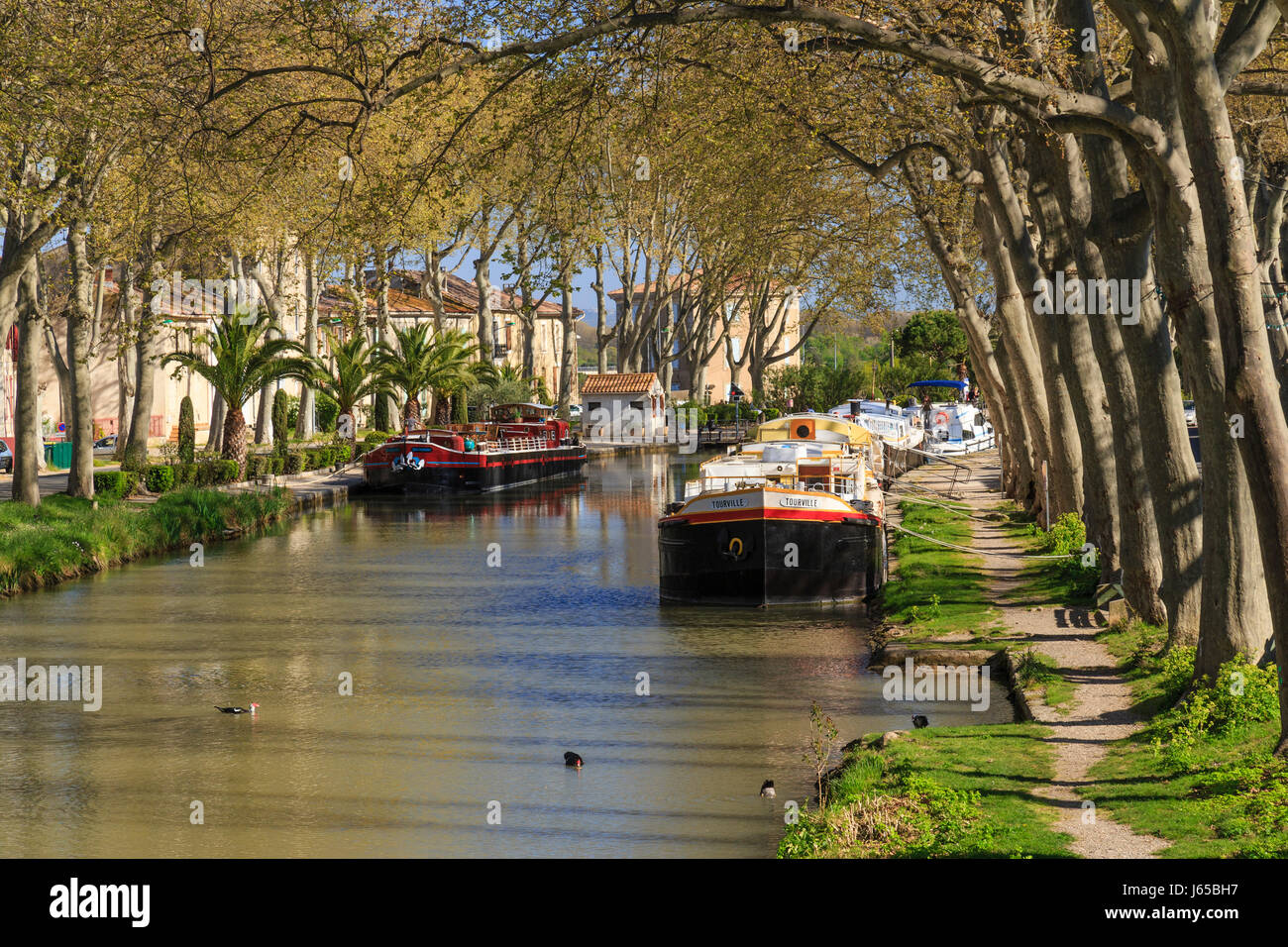 Francia, Aude, Salleles-d'Aude, Junction Canal o Junction Canal con il Robine, barche ormeggiate Foto Stock