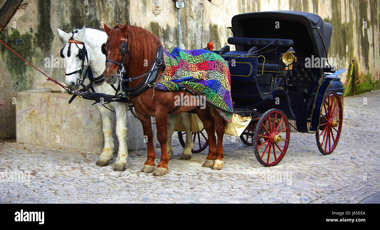 Cavallo di trasporto del traffico di veicoli per il trasporto della tecnologia tradizionale scenario Foto Stock