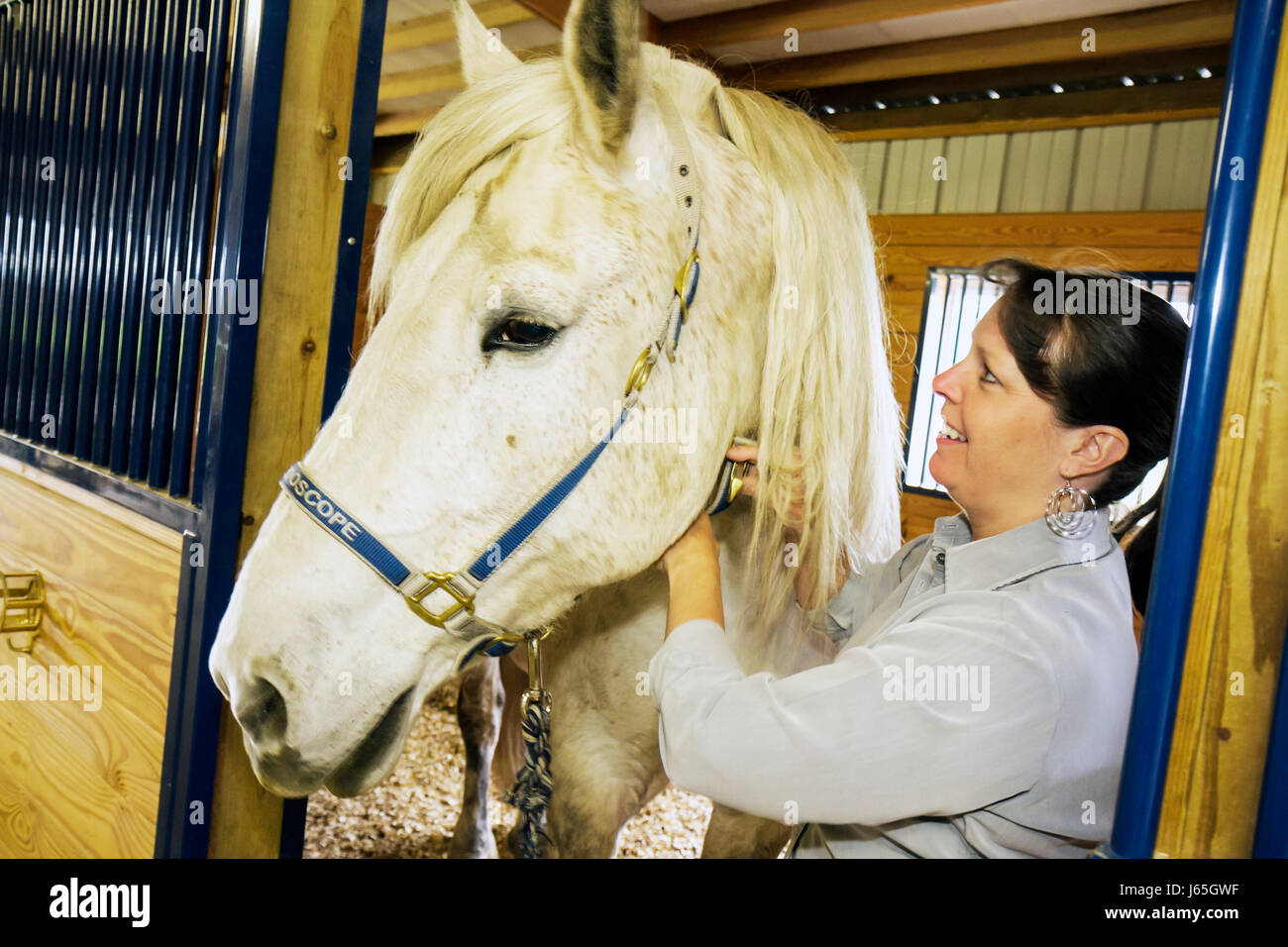 Michigan Frankenmuth,Kaleidoscope Learning Circle,equestre assisted learning,EAL,horse,white,animal,donna femminile,Dr. Tracy Weber, facilitatore, treno Foto Stock