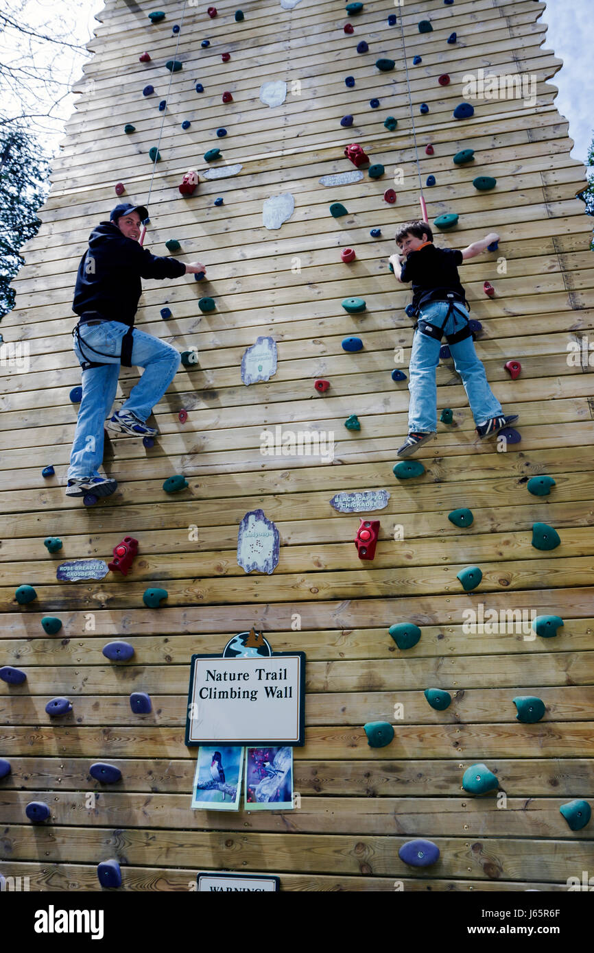 Michigan Mackinaw City, Mackinac state Historic Parks Park, storico Mill Creek Discovery Park, Treetop Tower, Climbing Wall, percorso naturalistico, adulti, uomo Foto Stock