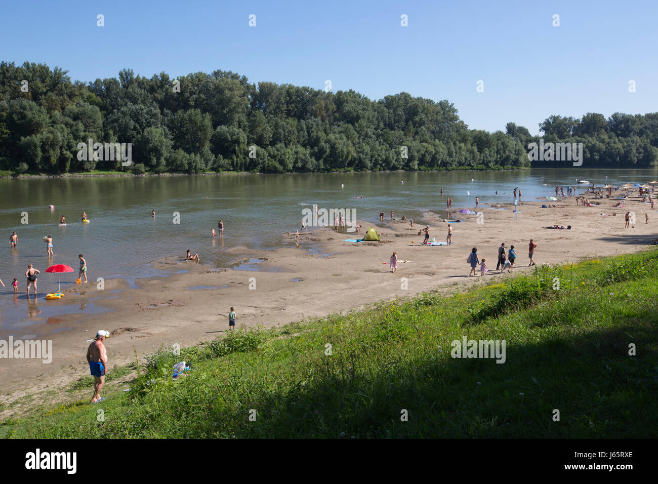 Gli ungheresi godendo le temperature estive a Koros Torok spiaggia sabbiosa lungo il fiume Tisza, Csongrád, Ungheria Foto Stock