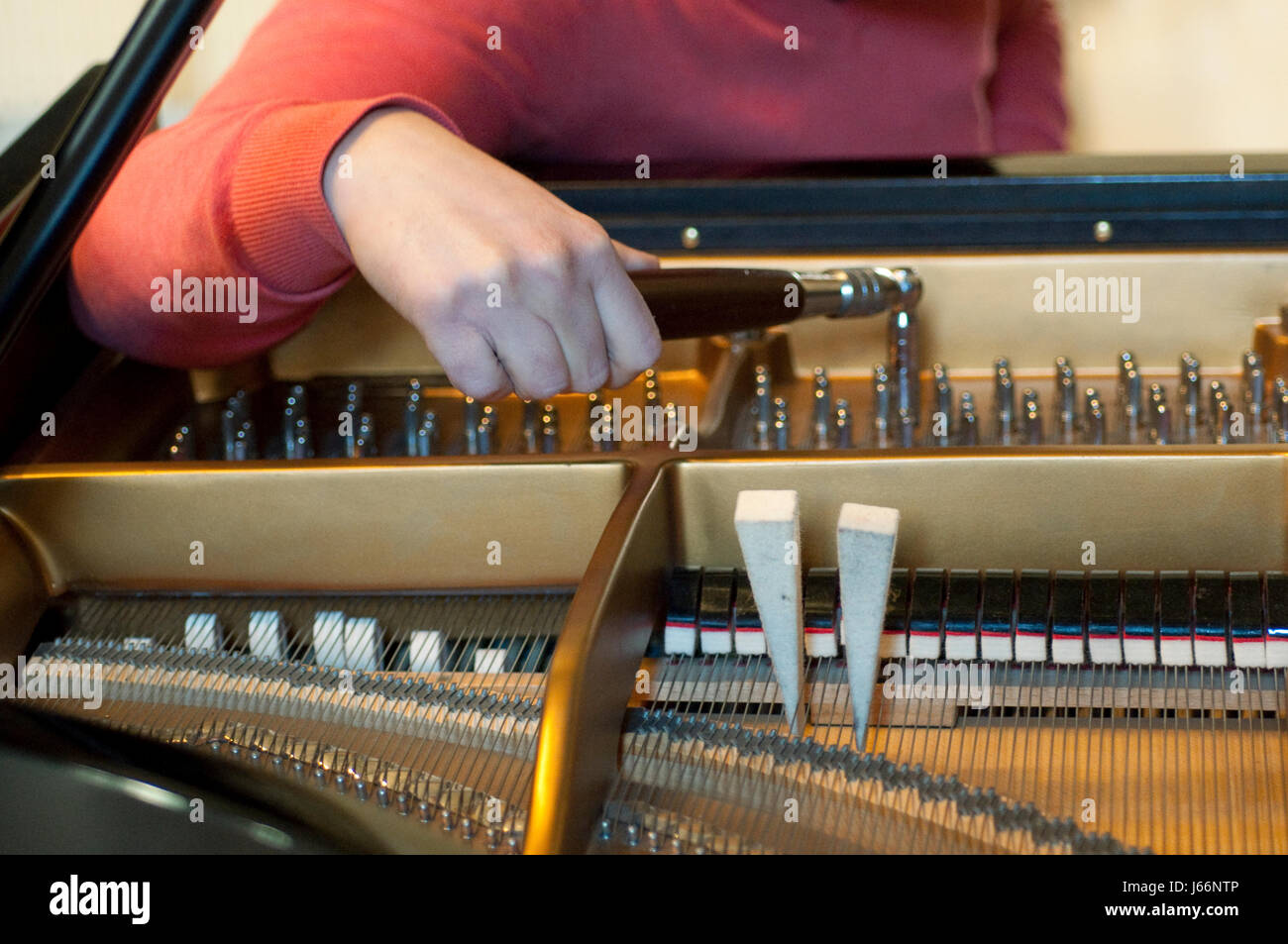 La mano di un uomo Piano Tuner Tuning un pianoforte a coda Foto Stock