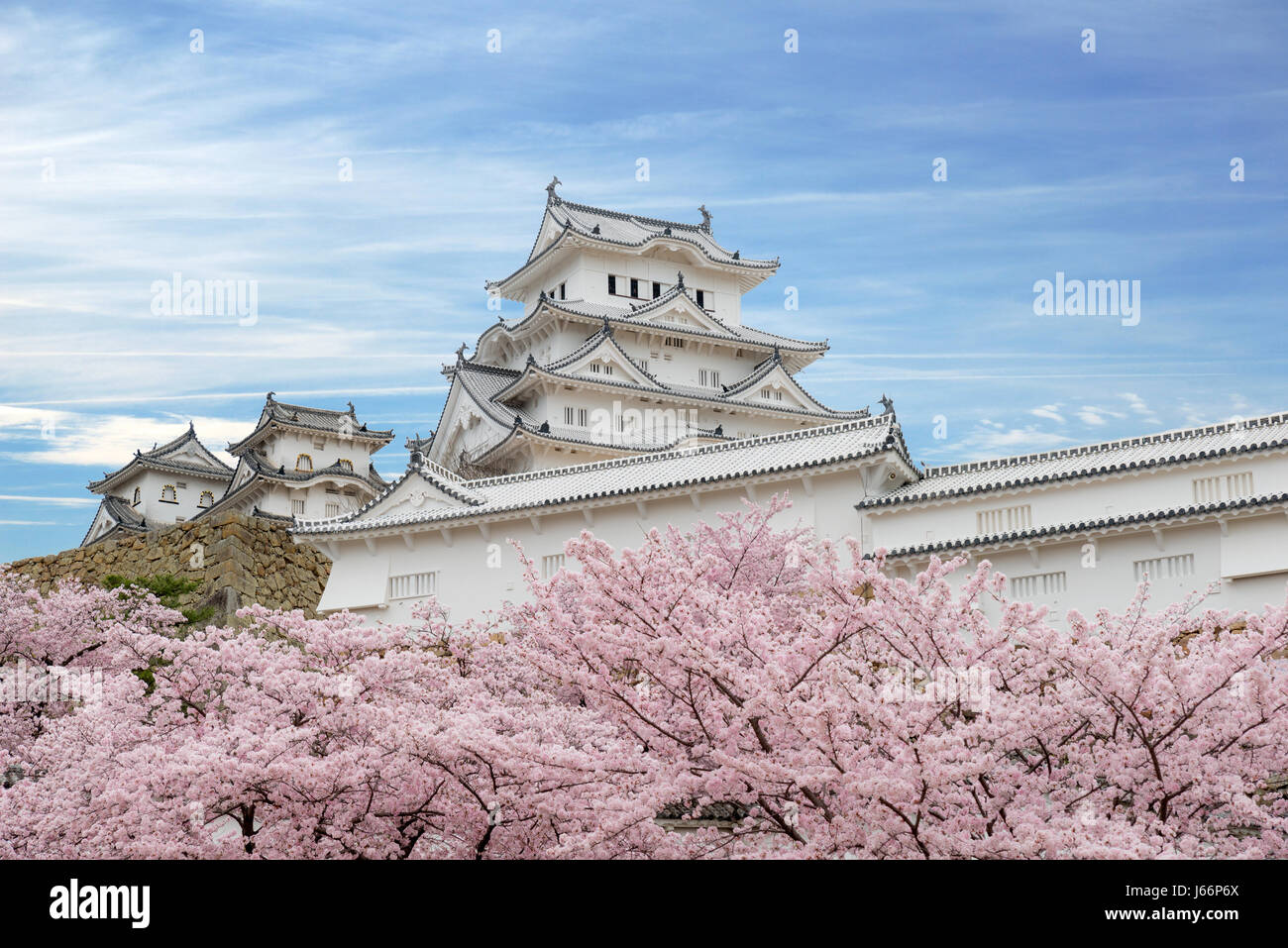 Fiore di Ciliegio fiori e il castello di Himeji Himeji, Hyogo, Giappone Foto Stock