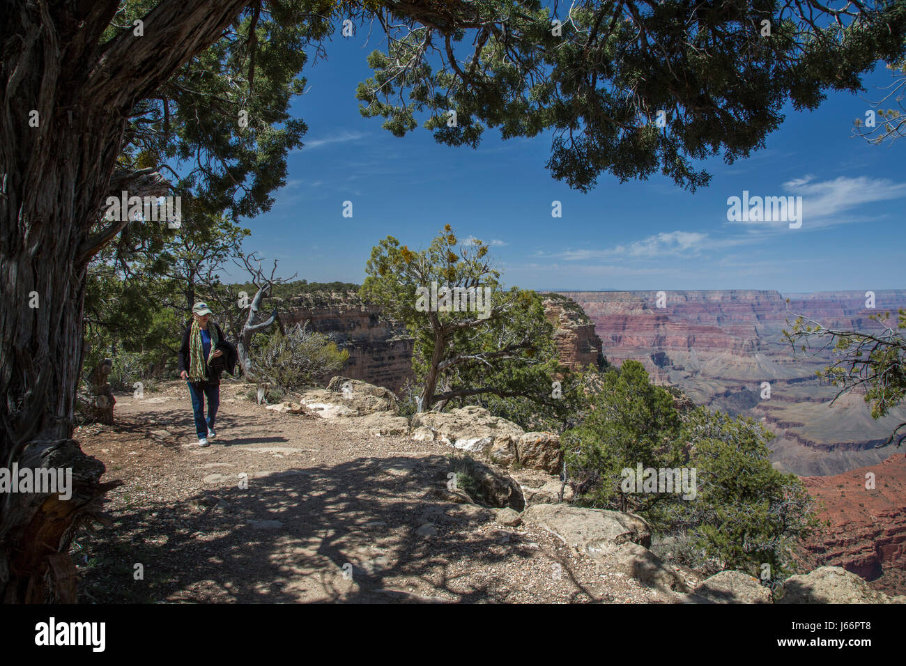 Parco Nazionale del Grand Canyon, Arizona - un escursionista sul Rim Trail lungo il bordo sud del Grand Canyon. Foto Stock